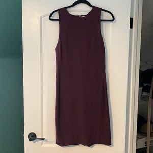 Aritzia Babaton Miguel Dress
